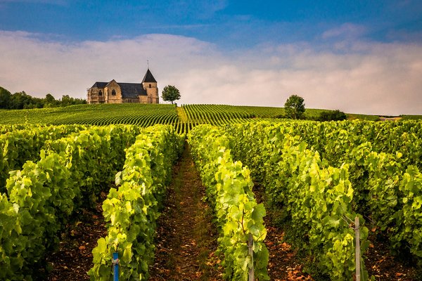 Comment organiser une visite des vignobles en Italie du Nord à petit prix?