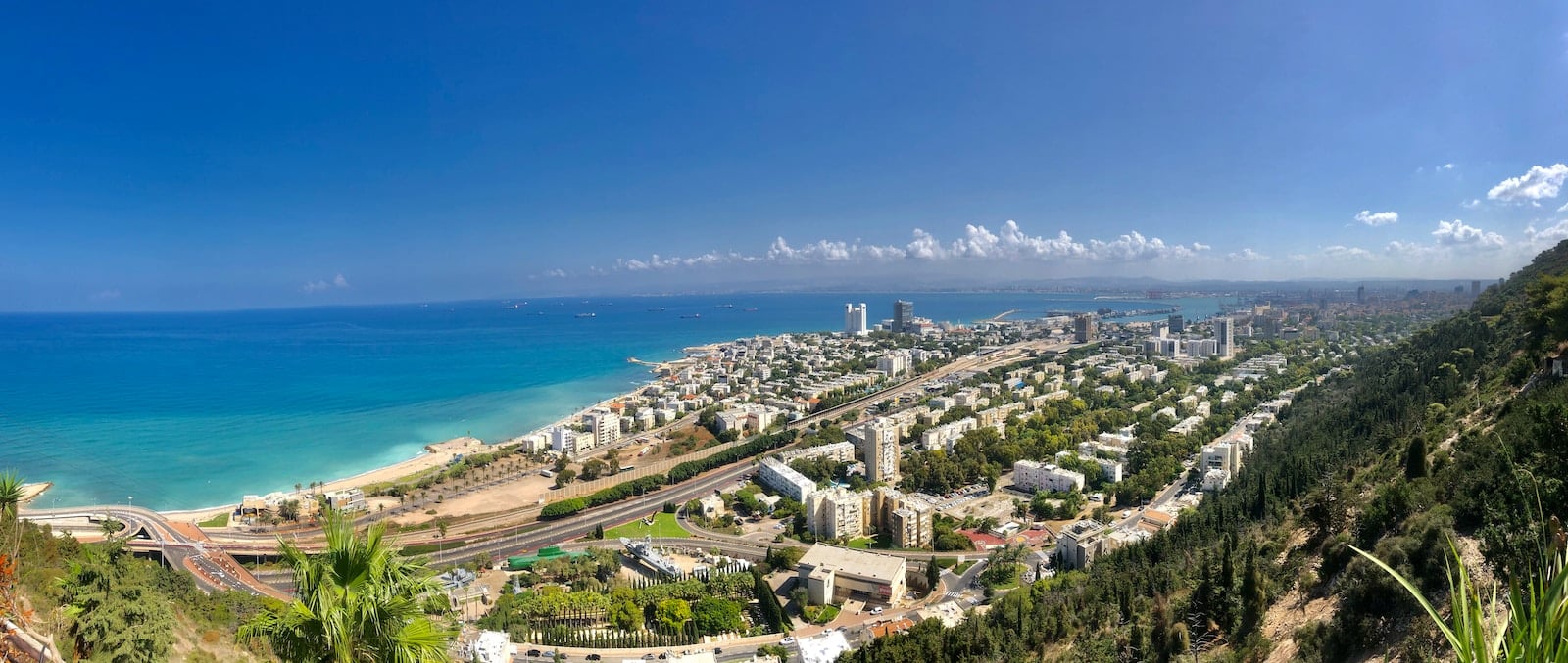 aerial view of city buildings near body of water during daytime